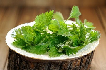 Fresh nettle in white plate on wooden background