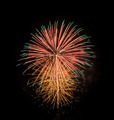 Colorful fireworks in the black sky