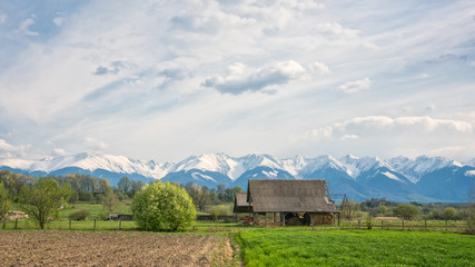 panoramic veiw of snowy mountains