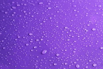 Water drops on purple background