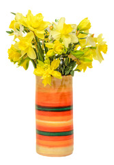 Yellow daffodils, narcissus flower, colored vase.