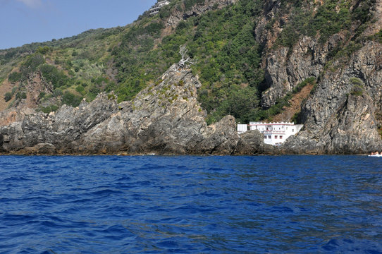 Palmi - ulivarella - Regione Calabria