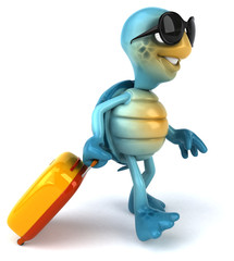 Fun turtle