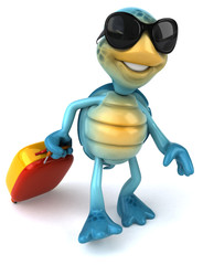 Fun turtle