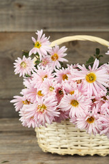 Fototapeta na wymiar Lilac chrysanthemums in basket on grey wooden background