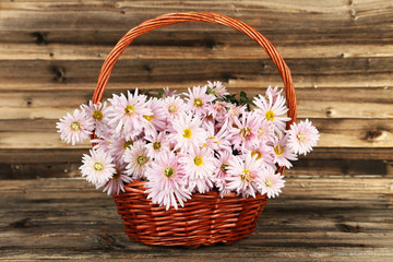 Fototapeta na wymiar Lilac chrysanthemums in basket on brown wooden background