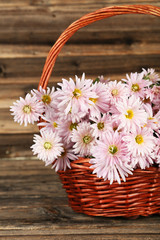 Fototapeta na wymiar Lilac chrysanthemums in basket on brown wooden background