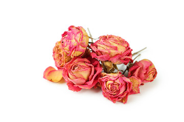 Dried roses isolated on white