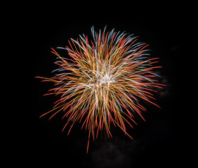 Colorful fireworks in the black sky