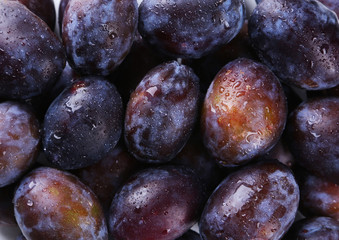 Fresh plums background