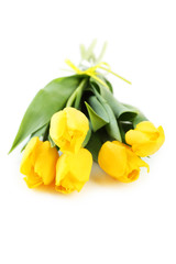 Obraz premium Yellow tulips isolated on white