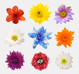 arrangement flower on wooden with empty space background
