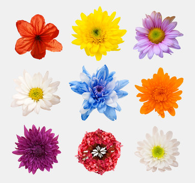 arrangement flower on wooden with empty space background