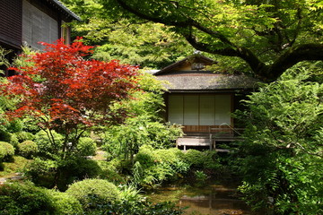 beautiful japanese garden in Ohara near Kyoto