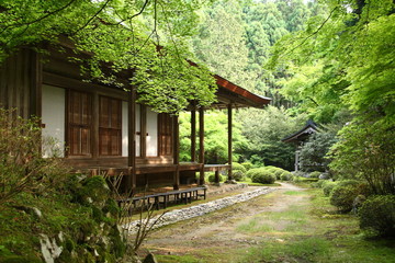 Japanese temple in the forest