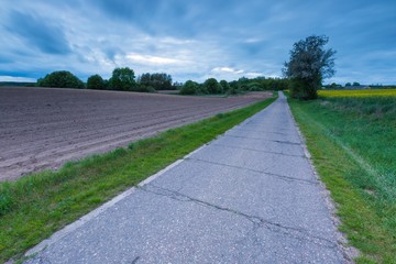 Rural destroyed asphalt road in calm countryside