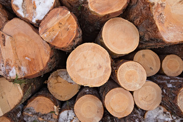 Wooden timber at a sawmill