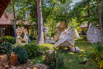 Fototapeta na wymiar Garden with stone