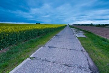 Rural destroyed asphalt road in calm countryside