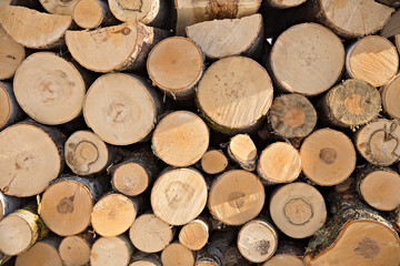 Wooden timber at a sawmill