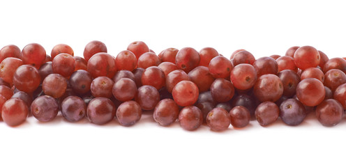 Line made of dark grapes isolated