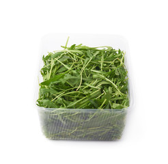 Eruca sativa rucola rocket salad