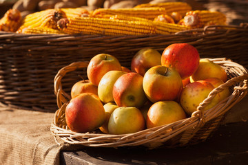Apple and corn in basket on market