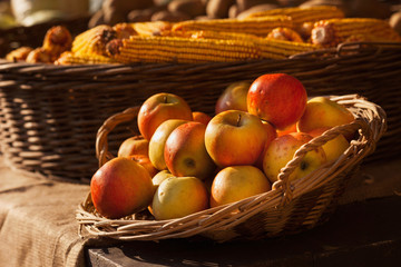 Apple and corn in basket on market