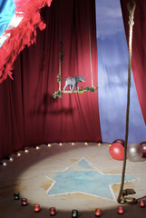 décor cirque © hdemestier