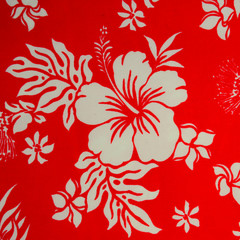 Colorful Traditional, Oriental Floral Pattern