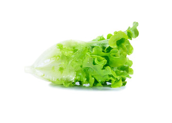 fresh  lettuce leaves isolated on white