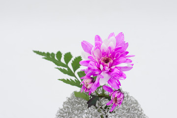 pink flower bouquet  in vase on white background