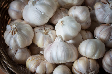 Group of white garlic on wooden background