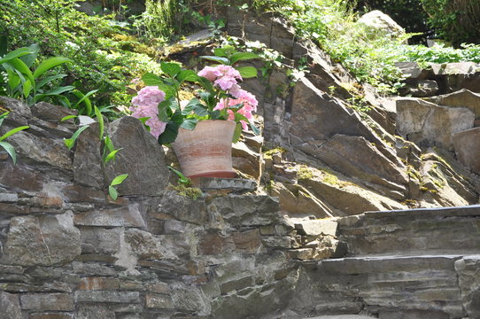 Blumenkübel auf einer Alten Burg