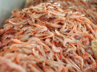 gambero appena pescato