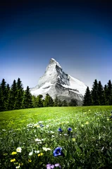 Cercles muraux Cervin Matterhorn mit Enzian