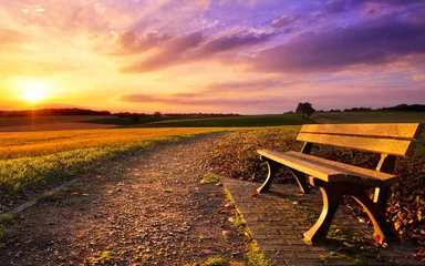 Bunter Sonnenuntergang am Land © Smileus