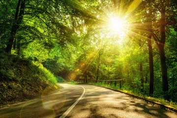 Stimmungsvolle Straße im Wald