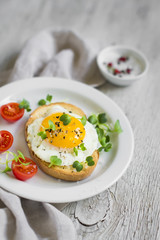Fototapeta na wymiar toast with egg on a white plate 