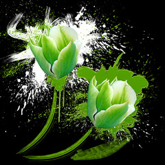 green and white tulips with spots watercolor
