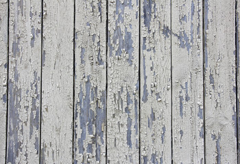 Fototapeta na wymiar vertical beige wooden planks with peeling paint, texture