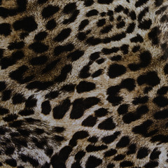 texture of print fabric striped leopard for background
