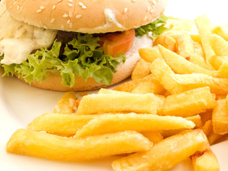 Hamburger and fries