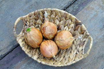 Onions in a basket on a wooden floor