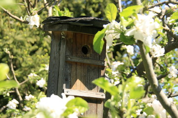 Bird house in a garden