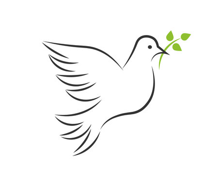 White dove with green branch and leaves - Powered by Adobe