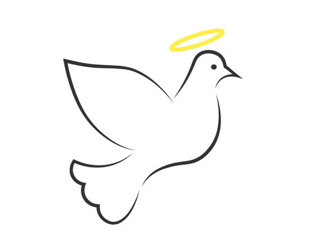 White dove with halo as the Holy Spirit symbol