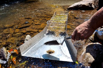 Gold panning with a sluice box in a river