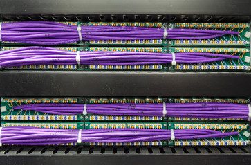 Large group of lilac utp cables