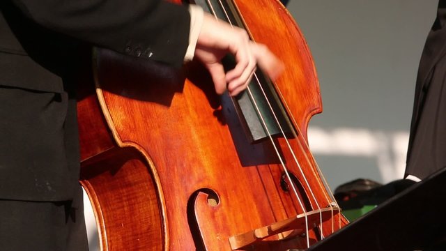 Human fingers playing contrabass